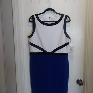 Calvin Klein Business Casual Dress